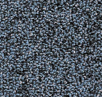 Ковролин AW Dakota 75 фото 1 | FLOORDEALER