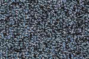 Ковролин AW Dakota 75 фото  | FLOORDEALER