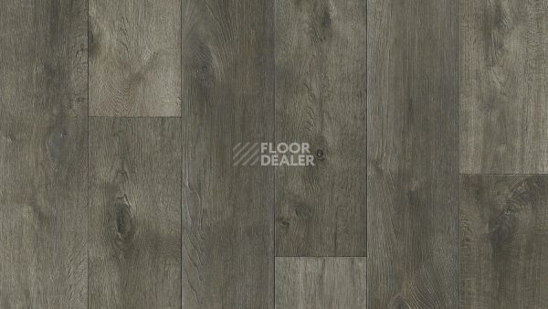 Линолеум Tarkett Idylle Nova Event 3 фото 1 | FLOORDEALER