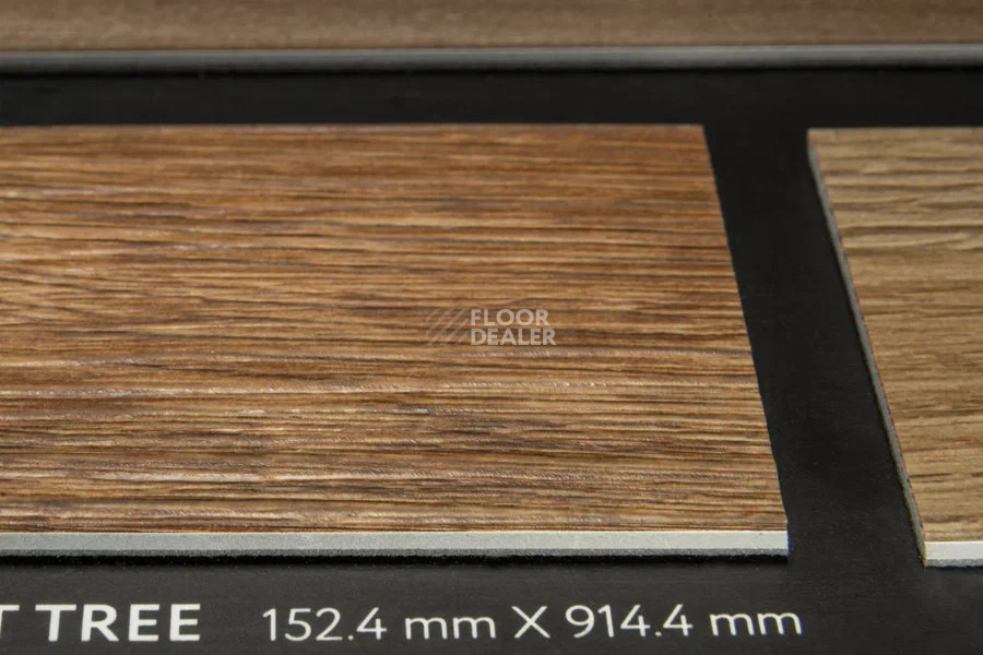 Vertigo Trend / Wood 2122 ANTIQUE NUT TREE152.4 мм X 914.4 мм фото 3 | FLOORDEALER