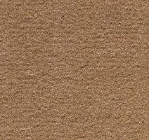 Ковролин Infloor Cosmos 851 фото 1 | FLOORDEALER