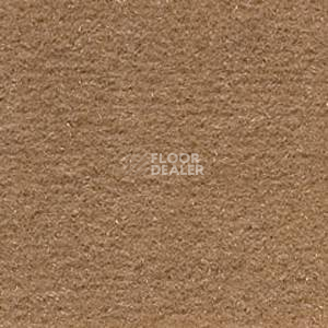 Ковролин Infloor Cosmos 851 фото 1 | FLOORDEALER