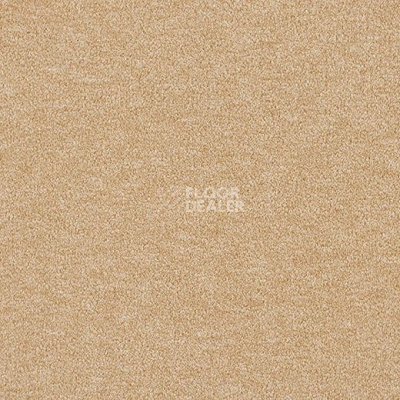 Ковролин Lano Godiva 381 фото 1 | FLOORDEALER