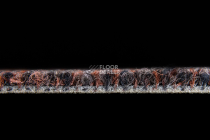 Desso AirMaster Reflection ac 58 9112 фото 7 | FLOORDEALER