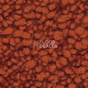 Ковролин Balsan Metis Metis 475 фото 1 | FLOORDEALER