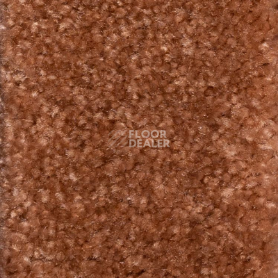 Ковролин AW Masquerade Euphoria 80 фото 1 | FLOORDEALER