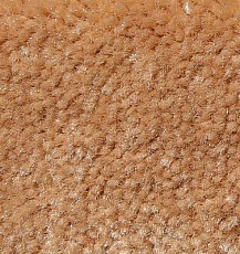 Big Caresse 396 фото 1 | FLOORDEALER