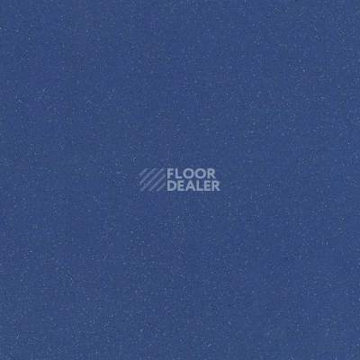 Линолеум Tarkett Acczent Universal Midnight Blue фото 1 | FLOORDEALER