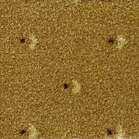 Ковролин Pullman Associated Weavers 32 фото 1 | FLOORDEALER