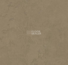 Линолеум Forbo Marmoleum Decibel 370935 silt фото 1 | FLOORDEALER