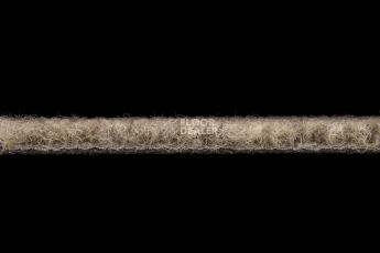 Season - Summer / Winter 650 фото 3 | FLOORDEALER