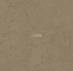 Forbo Marmoleum Decibel 370935 silt фото 1 | FLOORDEALER