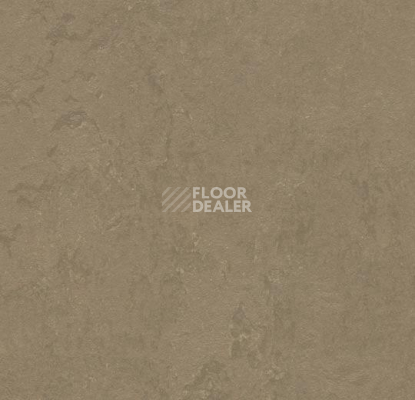 Линолеум Forbo Marmoleum Decibel 370935 silt фото 1 | FLOORDEALER