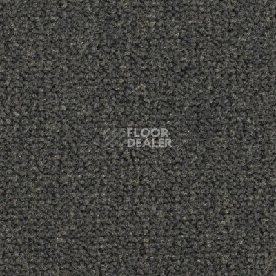Ковролин Balsan Les Best S 990 фото 1 | FLOORDEALER