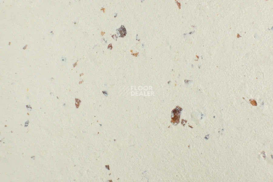 Forbo Marmoleum Solid Cocoa 3584-358435 white chocolate фото 2 | FLOORDEALER
