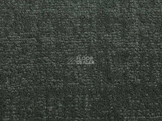 Ковролин Jacaranda Carpets Willingdon Olea фото 1 | FLOORDEALER