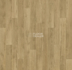 Линолеум Forbo SureStep  Fast Fit 618942 natural oak фото 1 | FLOORDEALER