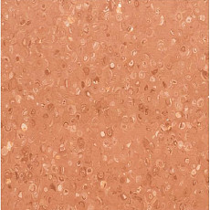 Линолеум Apoluza Tangyun 1006 фото 1 | FLOORDEALER