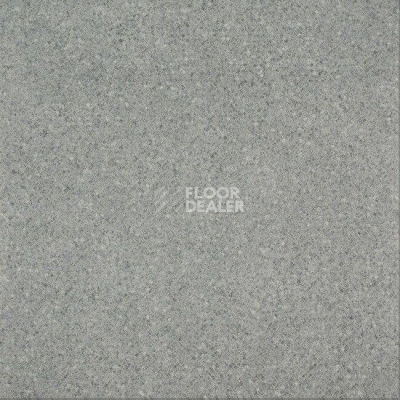 Линолеум Diamond Standart Evolution 4253-456 фото 1 | FLOORDEALER