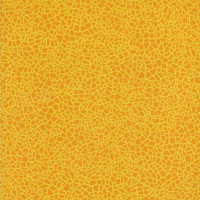 Линолеум Grabo Acoustic 7 Colour 388_664_275 фото 1 | FLOORDEALER