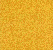 Линолеум Grabo Acoustic 7 Colour 388_664_275 фото 1 | FLOORDEALER