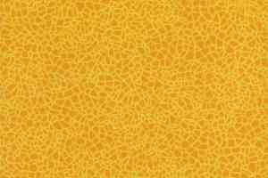 Линолеум Grabo Acoustic 7 Colour 388_664_275 фото  | FLOORDEALER