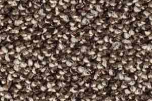 Ковролин Balsan Kaviar 650 фото  | FLOORDEALER