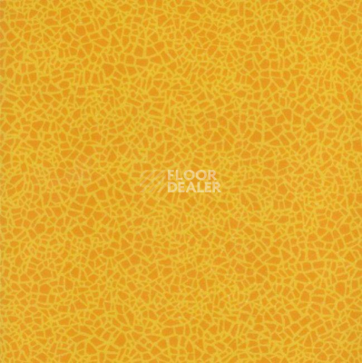 Линолеум Grabo Acoustic 7 Colour 388_664_275 фото 1 | FLOORDEALER