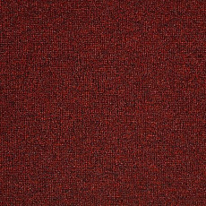 Ковролин Big  Studio 443 фото 1 | FLOORDEALER