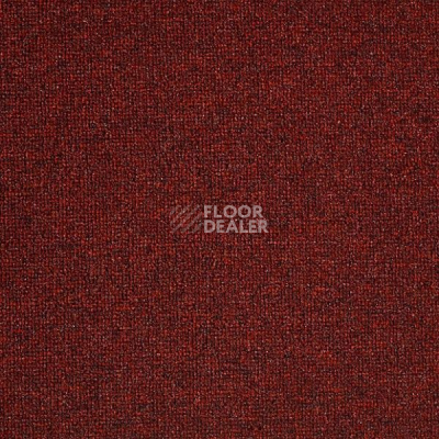 Ковролин Big  Studio 443 фото 1 | FLOORDEALER