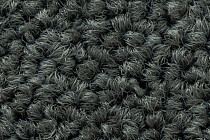 Tessera Create Space 1 1816 Lithium фото 4 | FLOORDEALER