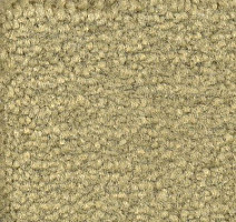 Ковролин Emphatic Beaulieu of America 56370 фото 1 | FLOORDEALER