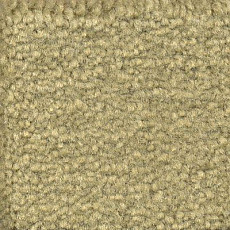 Ковролин Emphatic Beaulieu of America 56370 фото 1 | FLOORDEALER