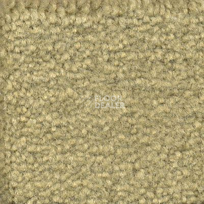 Ковролин Emphatic Beaulieu of America 56370 фото 1 | FLOORDEALER