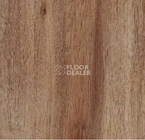 Кварцвиниловые полы Forbo allura decibel 0.8 wood 5104AD8 rustic harvest oak (100x16.6 cm) фото 1 | FLOORDEALER