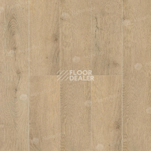 Кварцвиниловые полы Alpine Floor Premium XL 229 ECO 7-25 Дуб Фелис фото 1 | FLOORDEALER