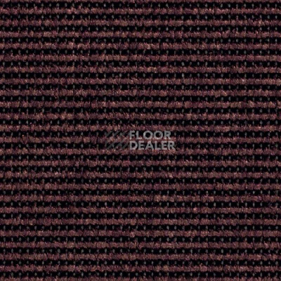Ковролин Balsan Uno 590 фото 1 | FLOORDEALER