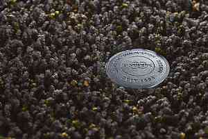 Ковролин Vorwerk Superior 1041 Vorwerk 9f74 фото  | FLOORDEALER