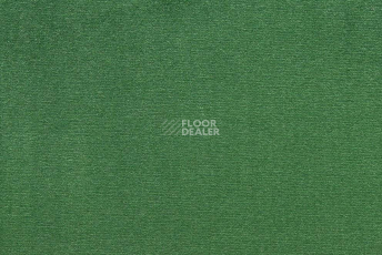 Ковролин ITC Roxane 224 фото 1 | FLOORDEALER