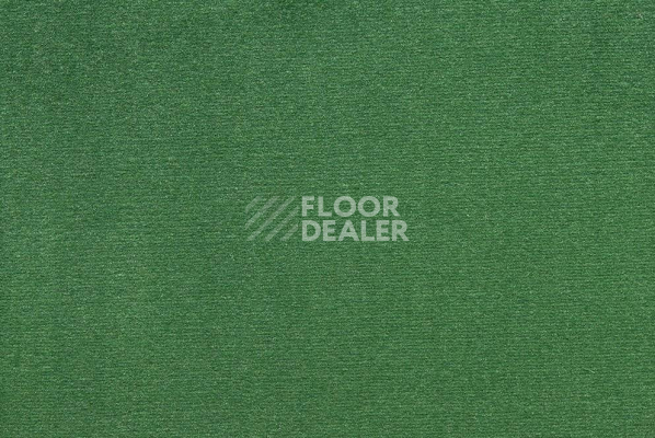 Ковролин ITC Roxane 224 фото 1 | FLOORDEALER
