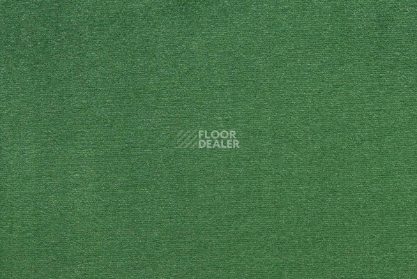 Ковролин ITC Roxane 224 фото 1 | FLOORDEALER