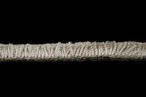 AW Passion AW Passion  36 фото 4 | FLOORDEALER