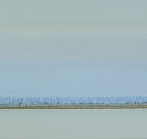 Ковролин Vorwerk Modena 3m41 фото 1 | FLOORDEALER