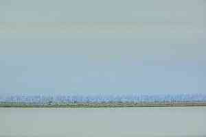 Ковролин Vorwerk Modena 3m41 фото  | FLOORDEALER