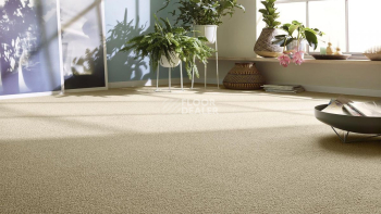Vorwerk Essential 1008 Vorwerk 7g03 фото 4 | FLOORDEALER