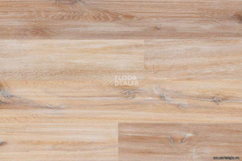 Wood Xl Oak  Gekalte New фото 5 | FLOORDEALER