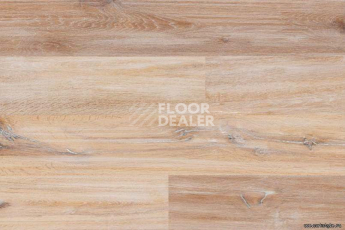 Wood Xl Oak  Gekalte New фото 5 | FLOORDEALER