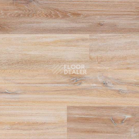Wood Xl Oak  Gekalte New фото 5 | FLOORDEALER