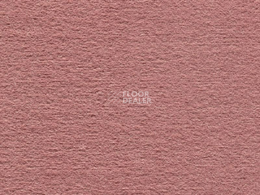 Ковролин Audrey 064 Audrey фото 1 | FLOORDEALER