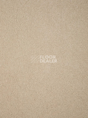 Ковролин Haima Noble 69 фото 1 | FLOORDEALER